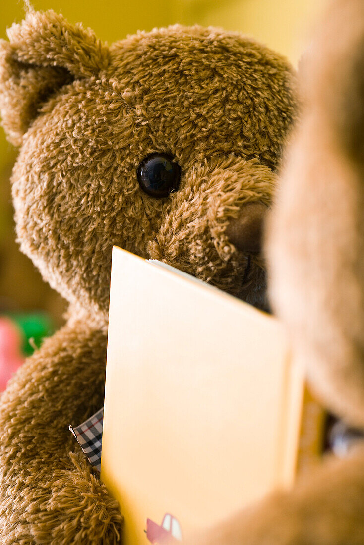 Teddy bears placed face to face with book between them, cropped