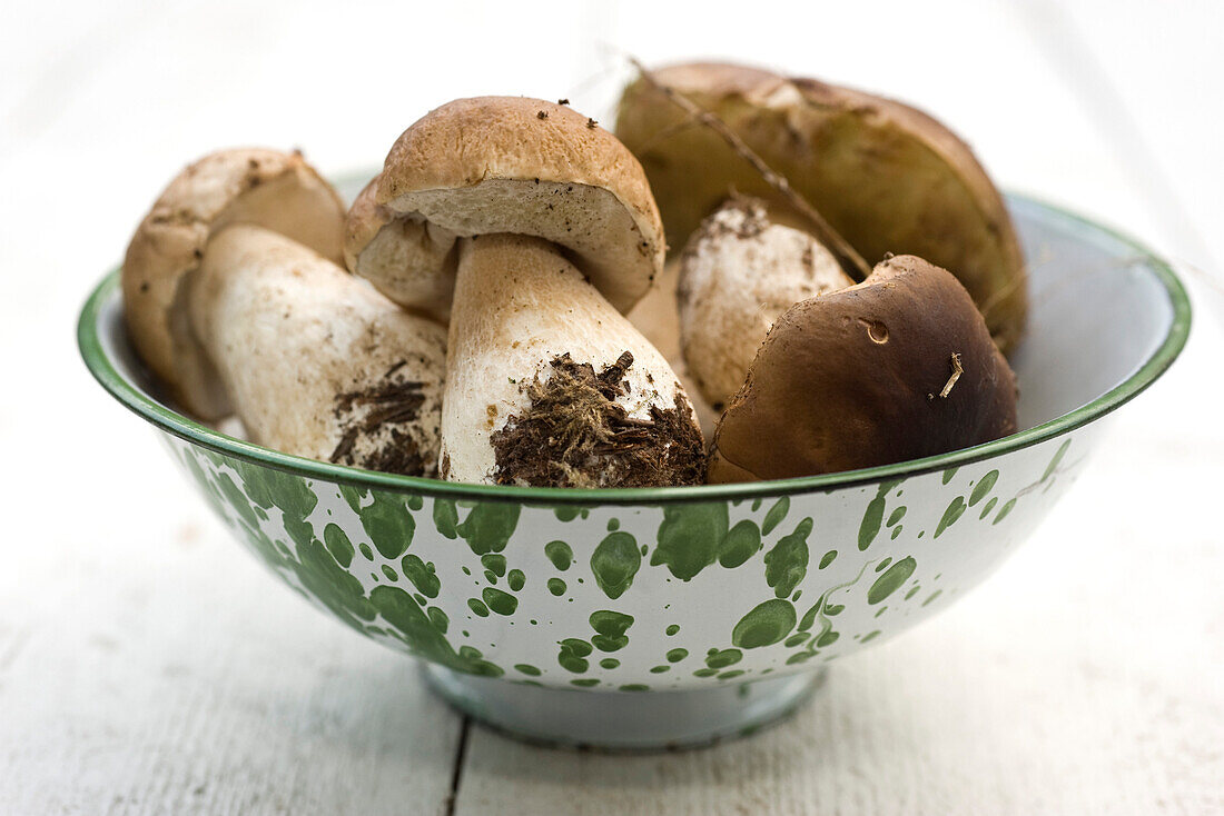 Porcini mushrooms in bowl