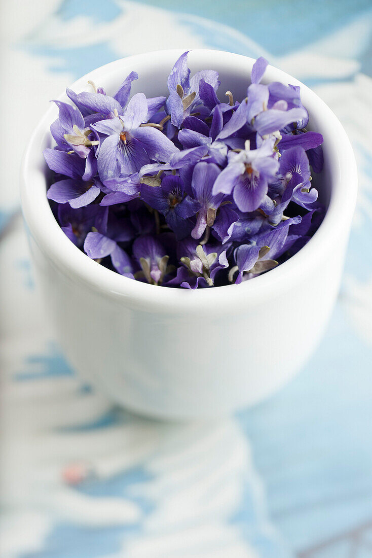 Violet flowers in cup