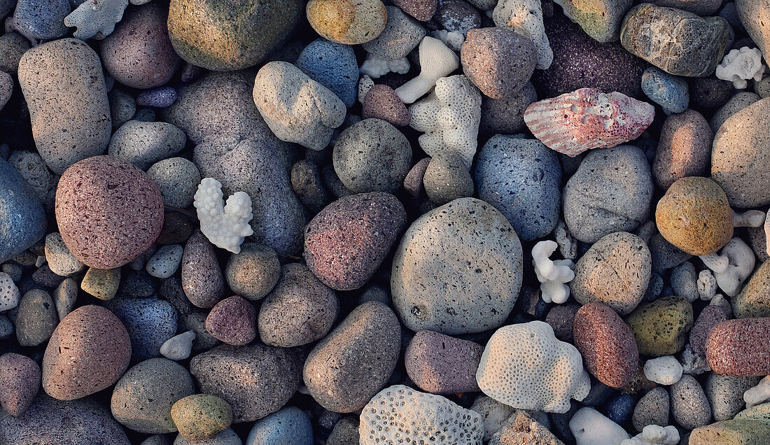 Rocks and shells on a beach in Batanes, Batan Island, Batanes, Philippines, Asia