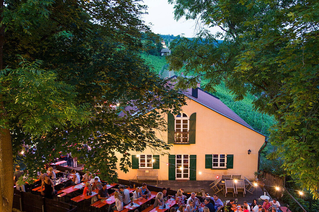 People sitting outside during Weinfest in a winery, Schweinfurt, Franconia, Bavaria, Germany