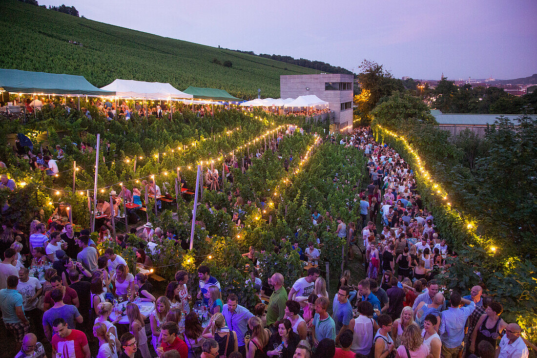 People at celebration in winery at dusk, Wuerzburg, Franconia, Bavaria, Germany