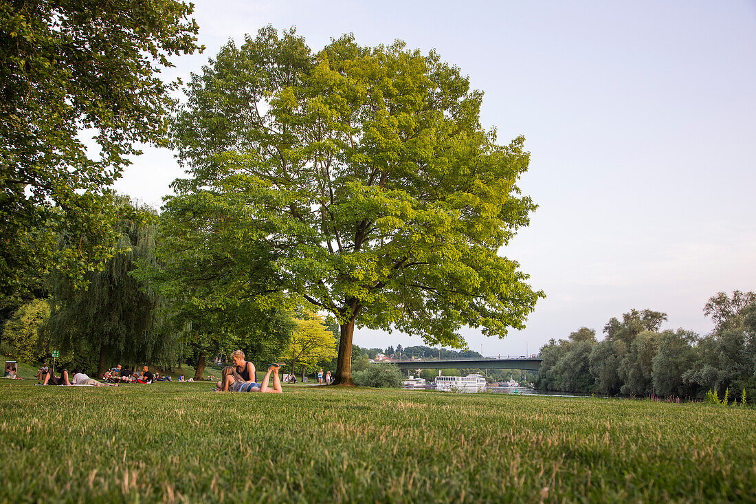 People relaxing in parkland near the Main river promenade, Aschaffenburg, Franconia, Bavaria, Germany