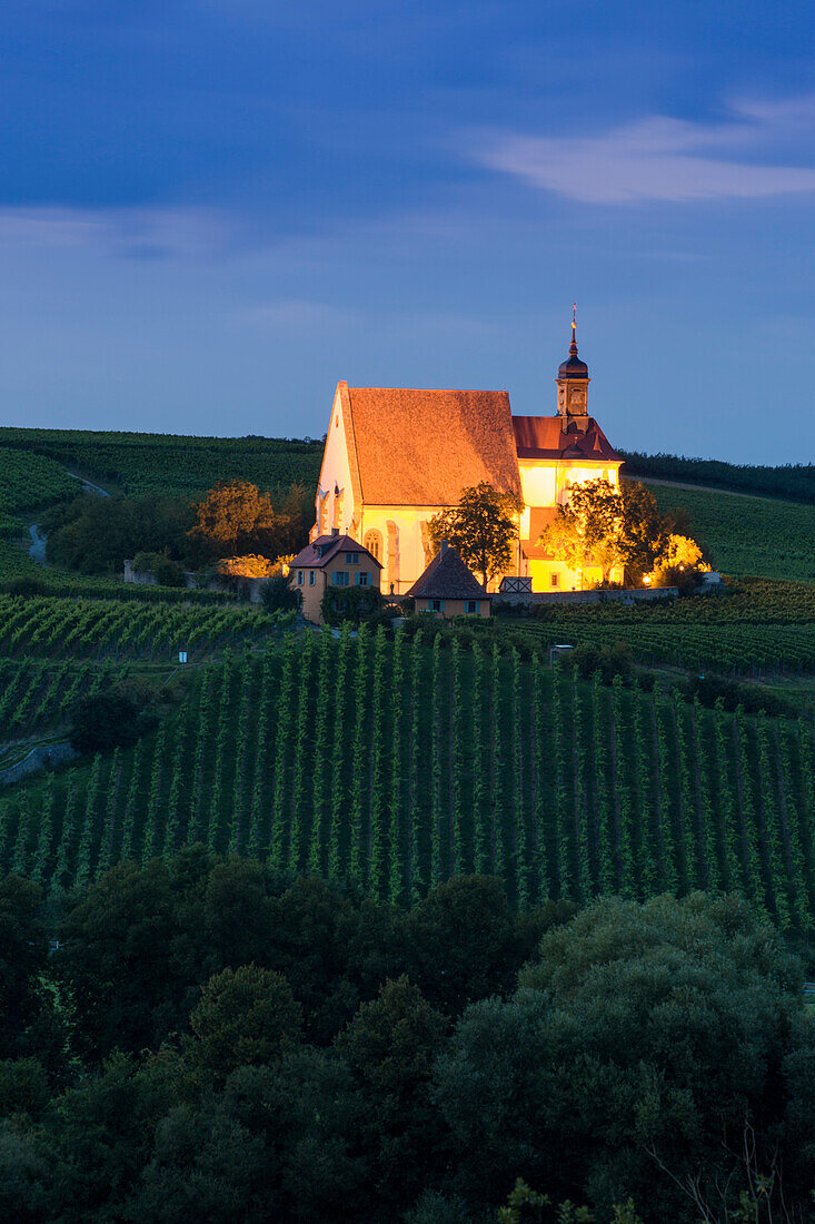Vineyards and Maria im Weingarten pilgrimage church at dusk, Volkach, Franconia, Bavaria, Germany