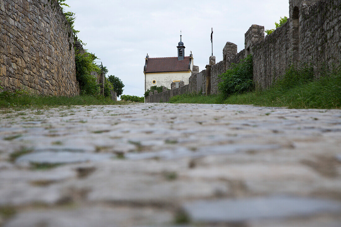 Kopfsteinplaster auf Pfad von Fränkischer Marienweg und Valentinuskapelle auf Kapellenberg, Frickenhausen, nahe Ochsenfurt, Franken, Bayern, Deutschland