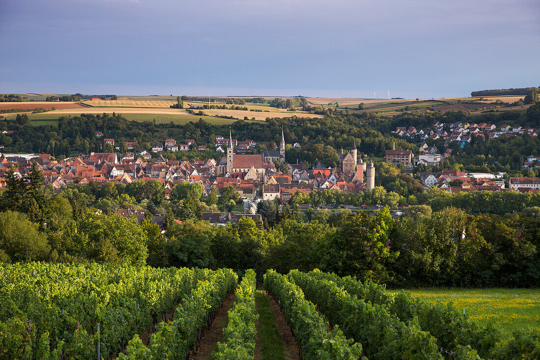 View across vineyard to city with its famous towers, Ochsenfurt, Franconia, Bavaria, Germany