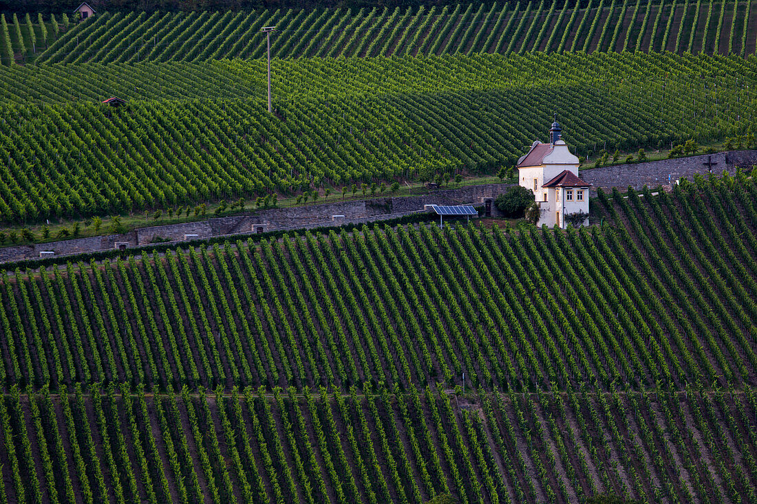 Valentinuskapelle auf Kapellenberg Weinberg, Frickenhausen, nahe Ochsenfurt, Franken, Bayern, Deutschland