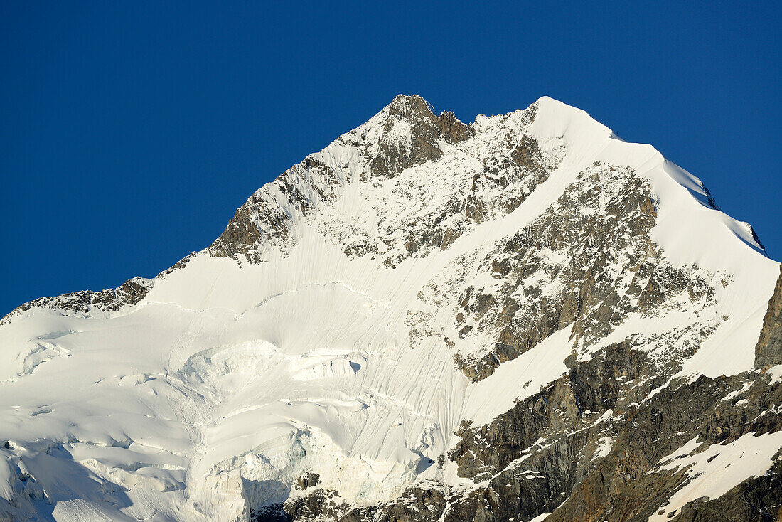 Piz Bernina mit Biancograt, Bernina, Oberengadin, Engadin, Graubünden, Schweiz