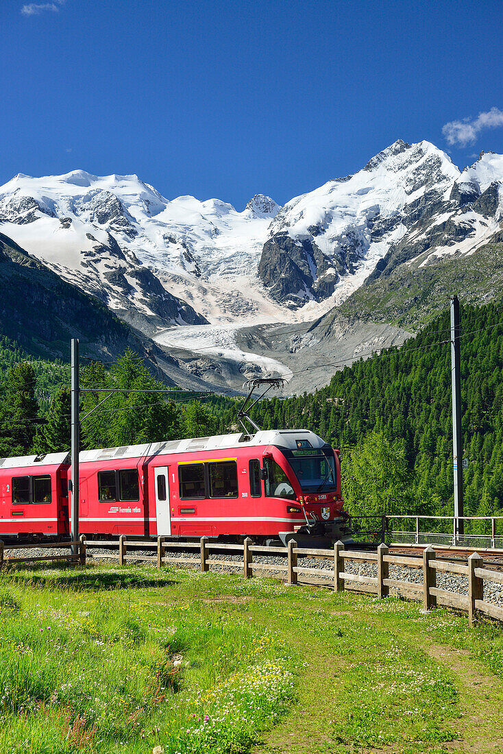 Rhaetian Railway in front of Bernina range with Piz Palue and Piz Bernina, valley of Morteratsch, Morteratsch, Bernina, Upper Engadin, Engadin, Grisons, Switzerland