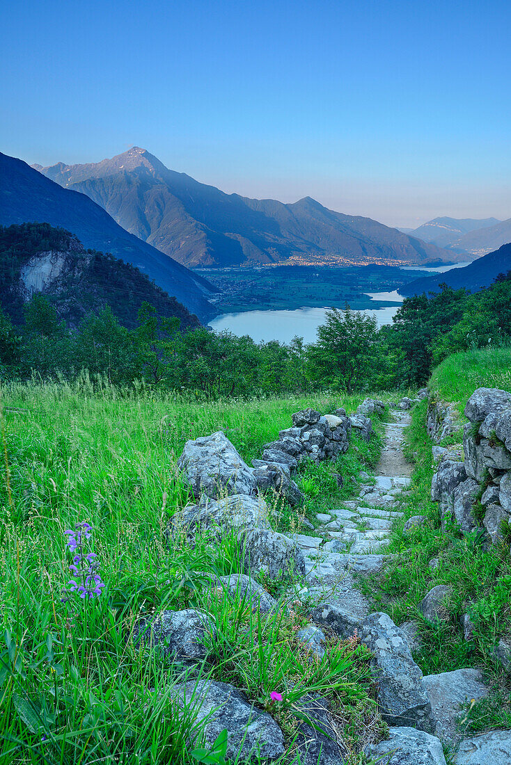 Flagged track leading through meadow, Lago di Mezzola in background, Val Codera, Sentiero Roma, Bergell range, Lombardy, Italy