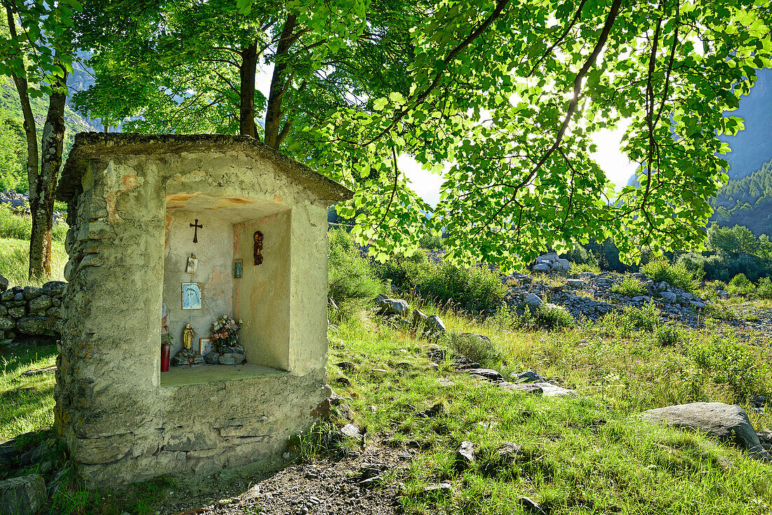 Simple chapel under deciduous trees, Val Codera, Sentiero Roma, Bergell range, Lombardy, Italy