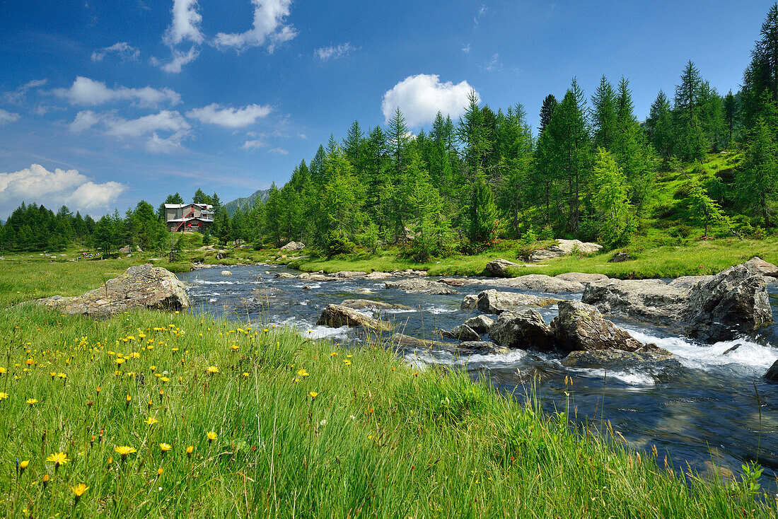 Stream flowing through Valle Airale, hut Rifugio Bosio in background, Sentiero Roma, Bergell range, Lombardy, Italy