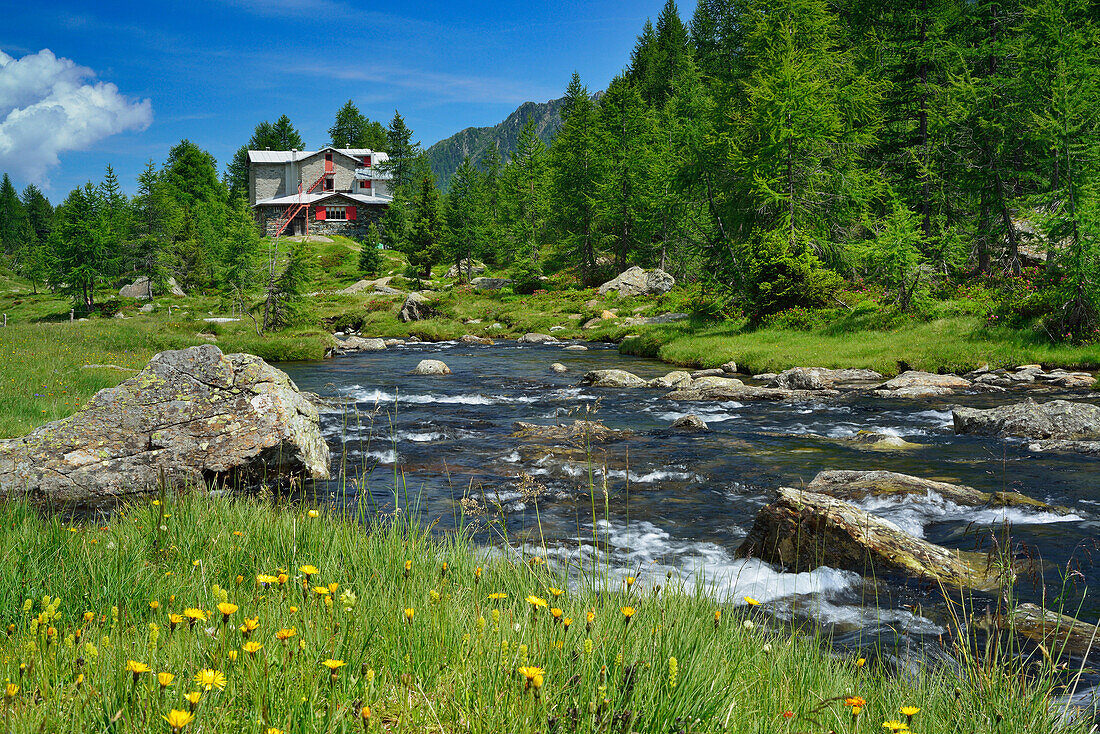 Bach fließt durch Valle Airale, Rifugio Bosio im Hintergrund, Sentiero Roma, Bergell, Lombardei, Italien