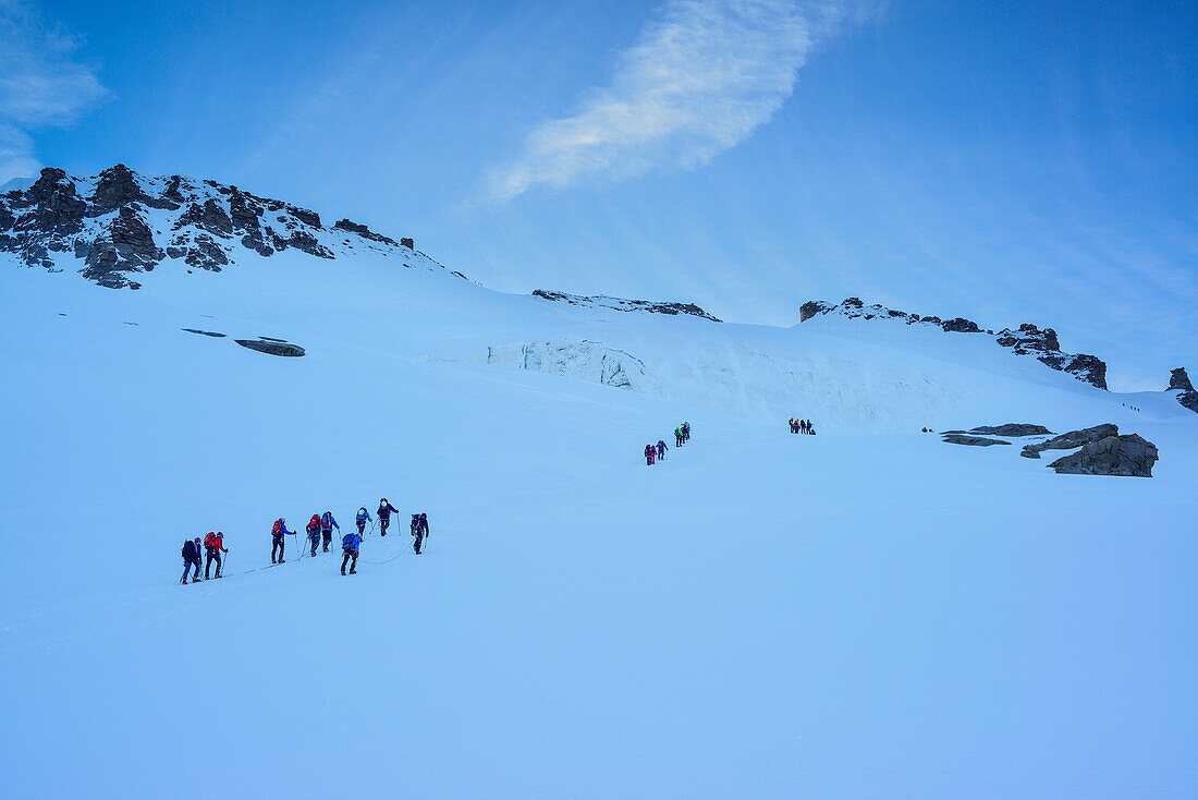Mehrere Personen steigen angeseilt über Gletscher zum Gran Paradiso auf, Gran Paradiso, Nationalpark Gran Paradiso, Grajische Alpen, Aostatal, Aosta, Italien