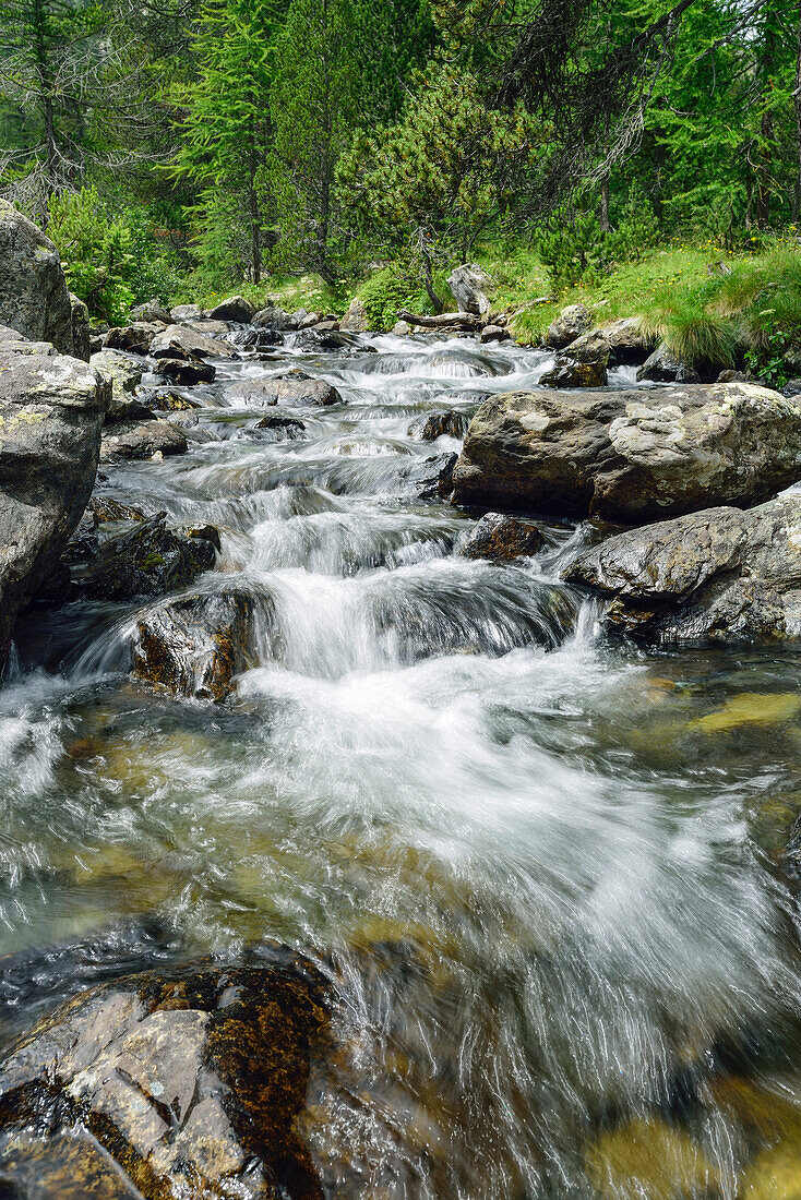 Bach fließt durch Gebirgstal, Naturpark Mont Avic, Grajische Alpen, Aostatal, Aosta, Italien