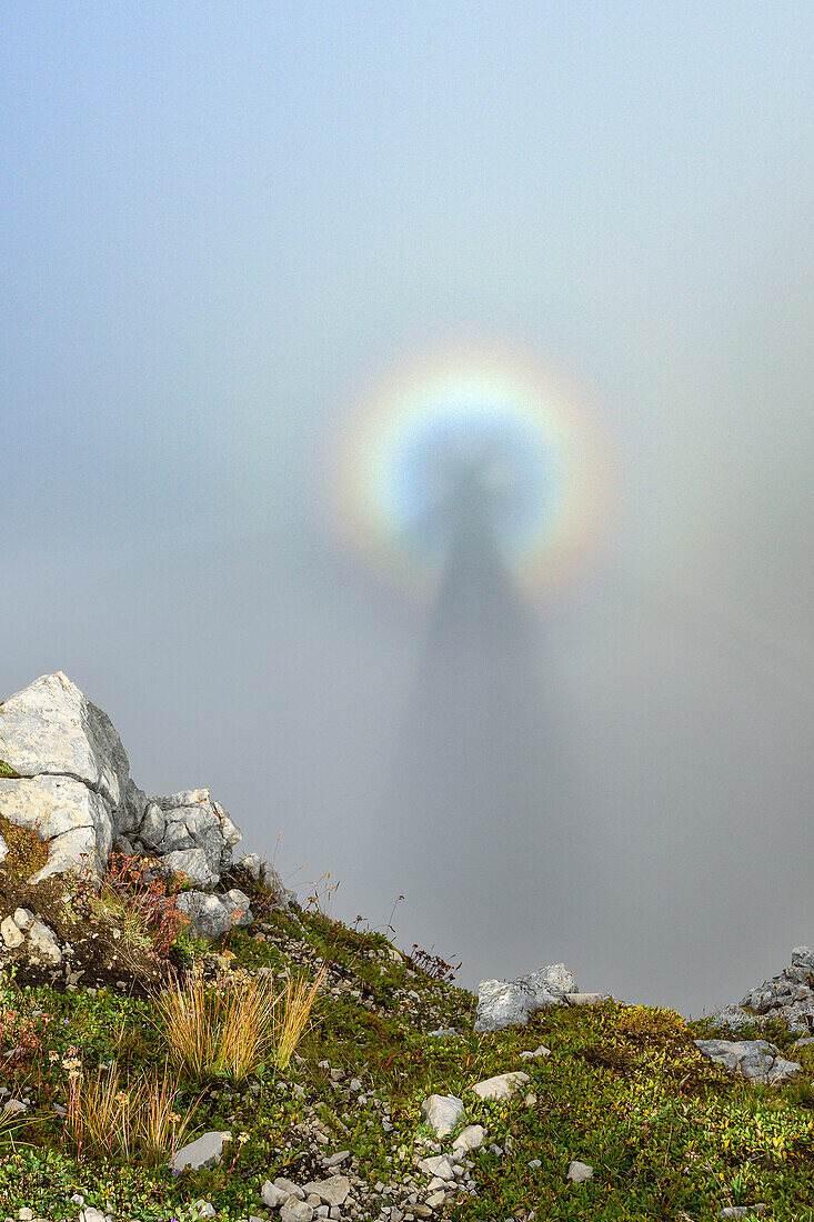 Optical phenomenon of Brocken Specter, Latemar range, Dolomites, UNESCO world heritage Dolomites, Trentino, Italy