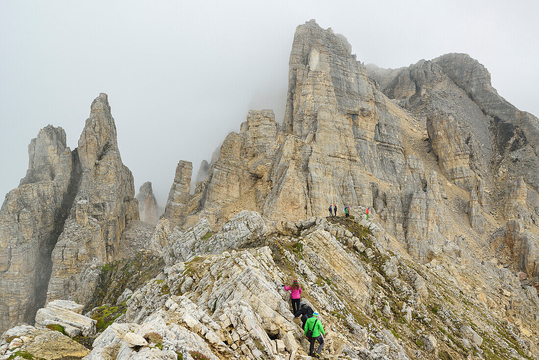 Persons hiking on rock ridge to Torre di Pisa, Latemar range, Dolomites, UNESCO world heritage Dolomites, Trentino, Italy