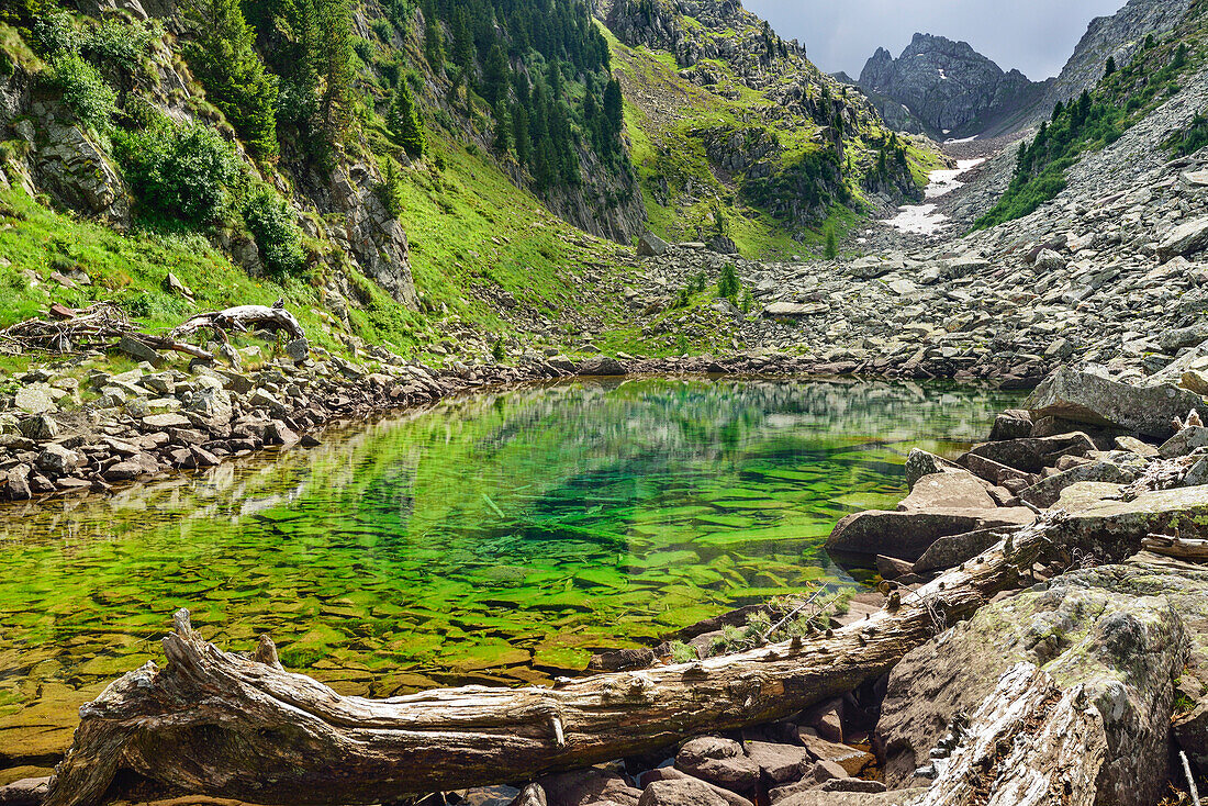 Blue-green mountain lake, lake Lago Caserina, Lagorai range, Dolomites, UNESCO world heritage Dolomites, Trentino, Italy