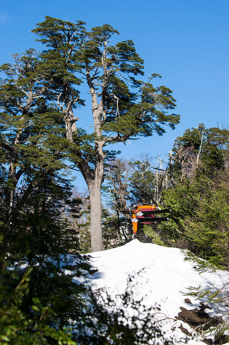 Skifahrer springt quer durch die Luft im Wald und greift mit Hand in Schnee, Villarica, Pucon, Chile