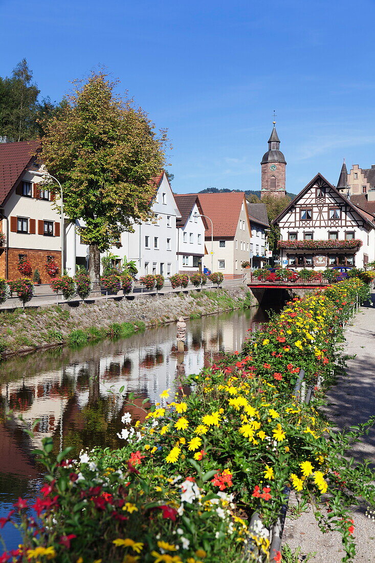 Oppenau, Black Forest, Baden Wurttemberg, Germany, Europe