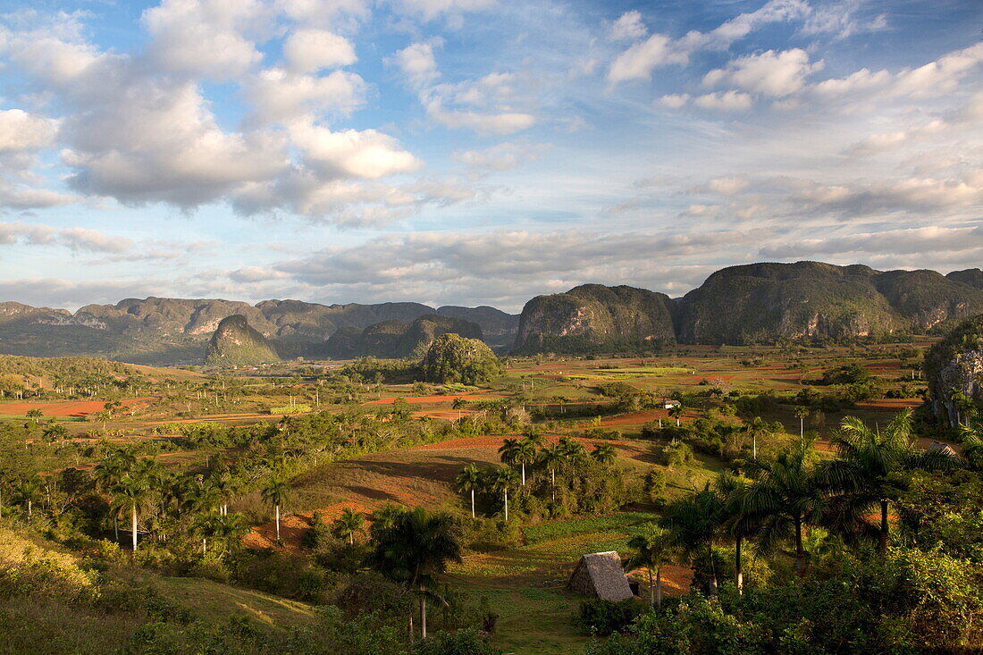 Vinales Valley, UNESCO World Heritage Site, bathed in early morning sunlight, Vinales, Pinar Del Rio Province, Cuba, West Indies, Central America