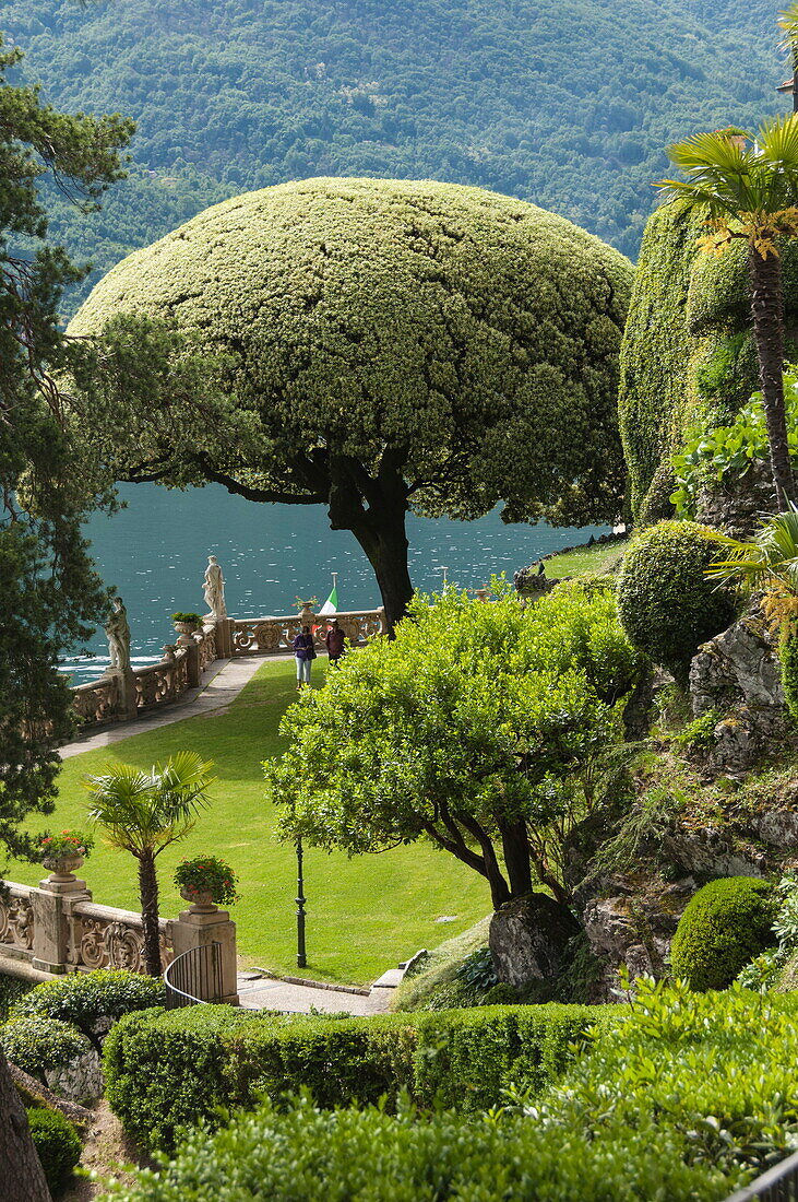 Terrace with giant topiary, Villa Barbonella, Lake Como, Lombardy, Italy, Europe