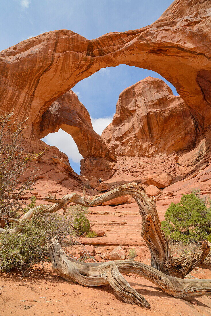 Double Arch, Windows Section, Arches National Park, Utah, United States of America, North America