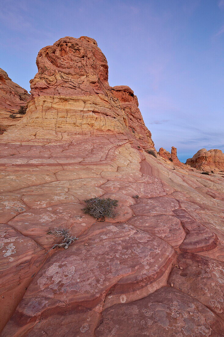 Sandstone formation at dawn, Coyote Buttes Wilderness, Vermillion Cliffs National Monument, Arizona, United States of America, North America