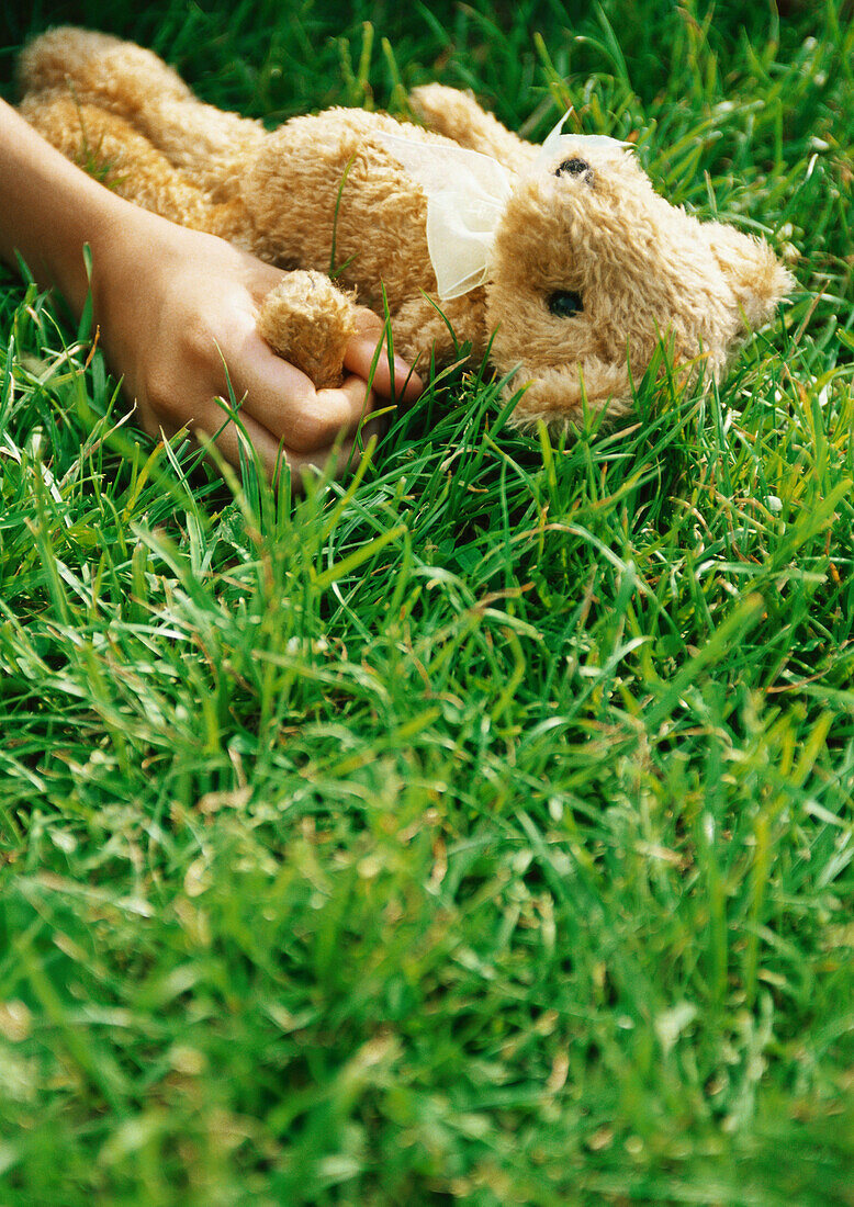 Hand holding teddy bear in grass