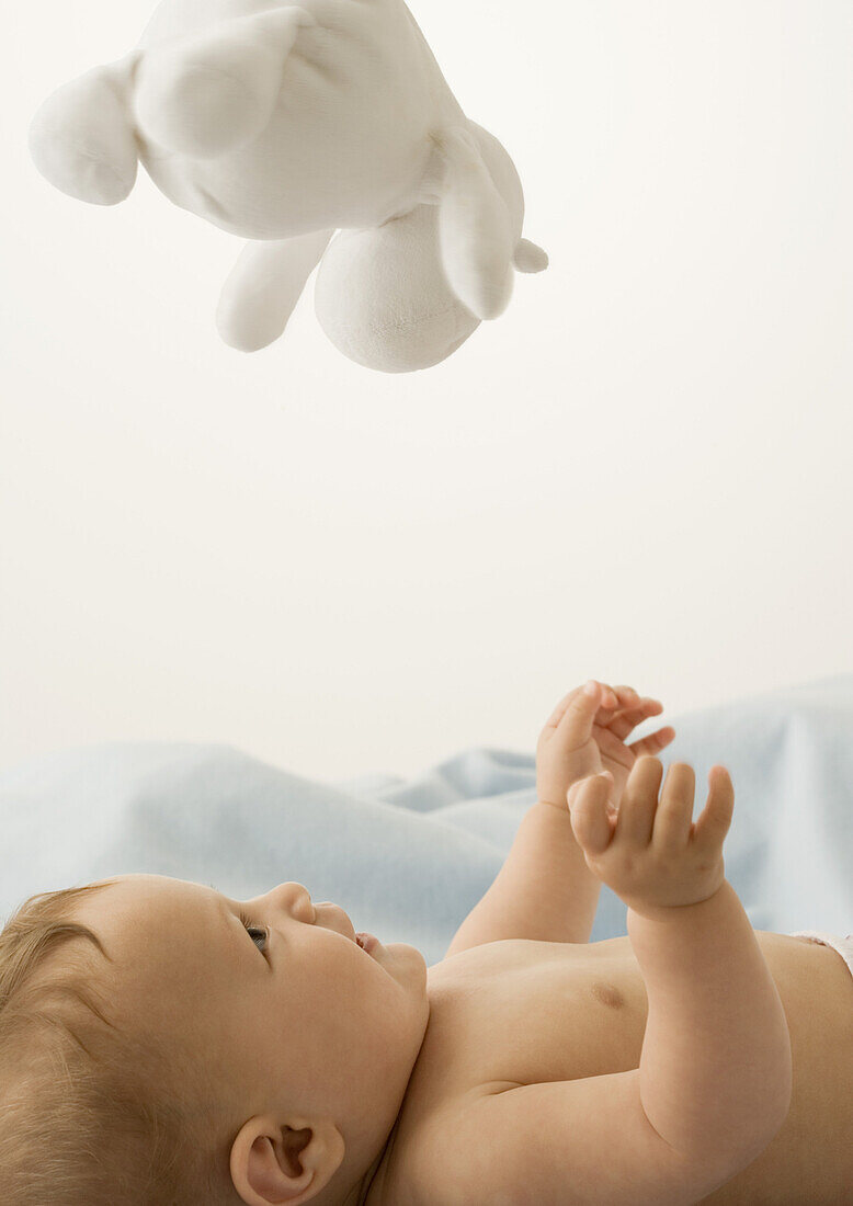 Baby lying on back, looking up at toy