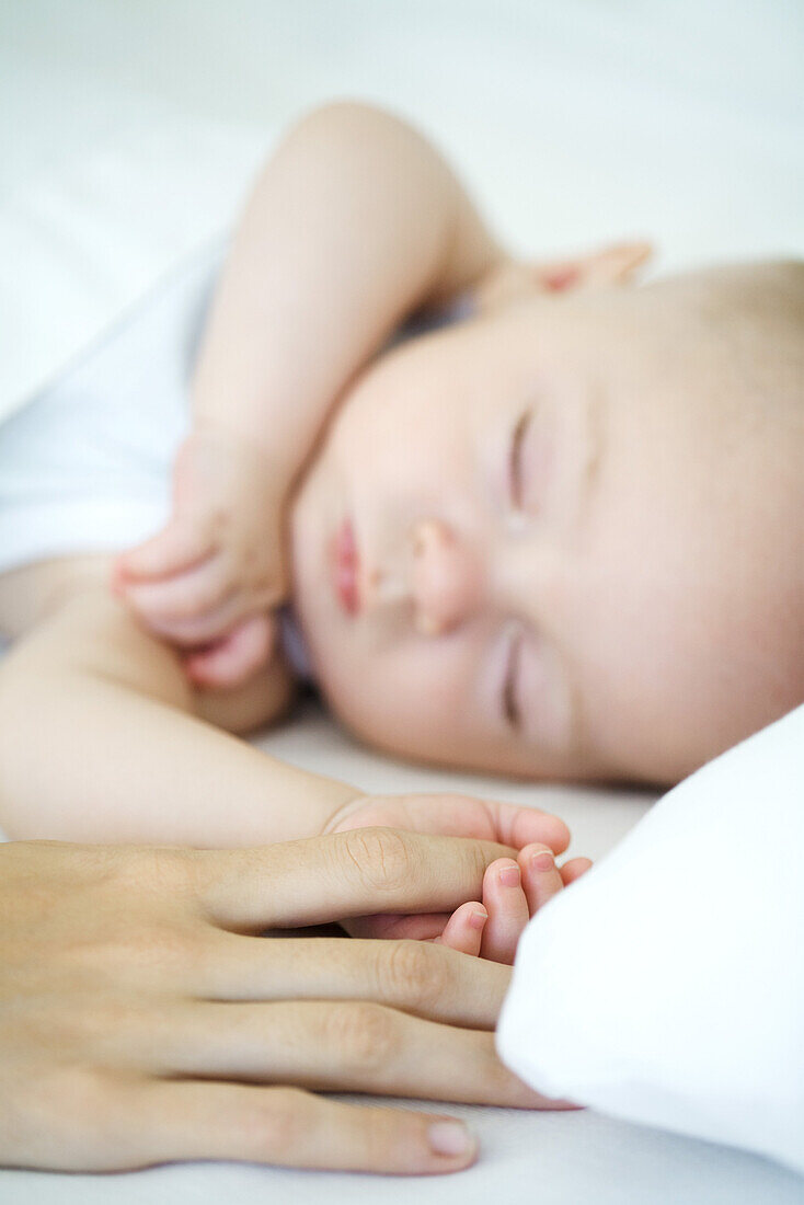 Adult holding sleeping baby's hand, cropped view