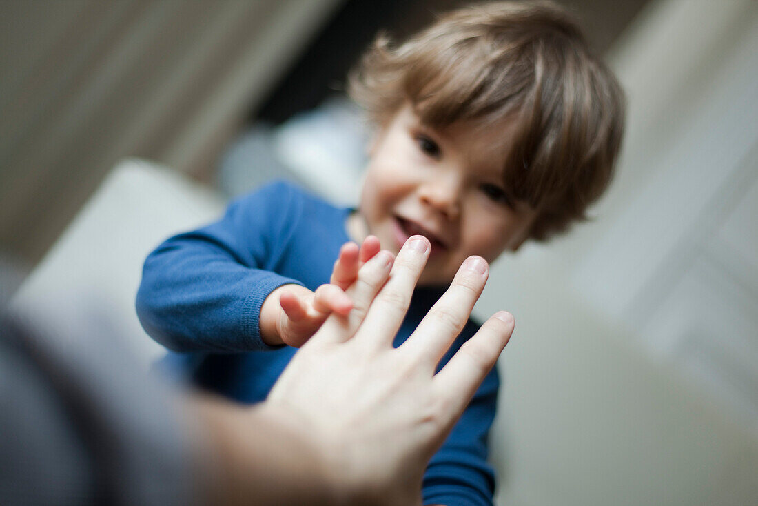Toddler boy touching parent's hand