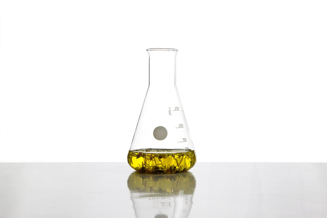 A beaker filled with fluid and plants