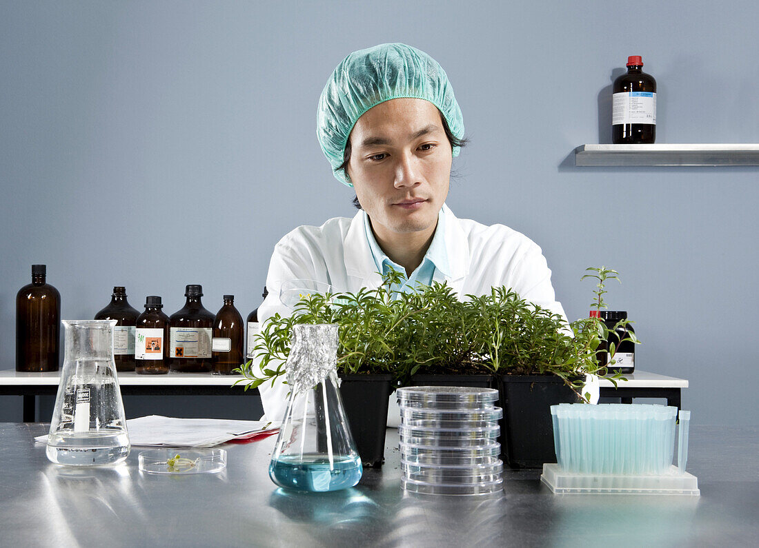 A lab technician staring intently at a plant in a laboratory