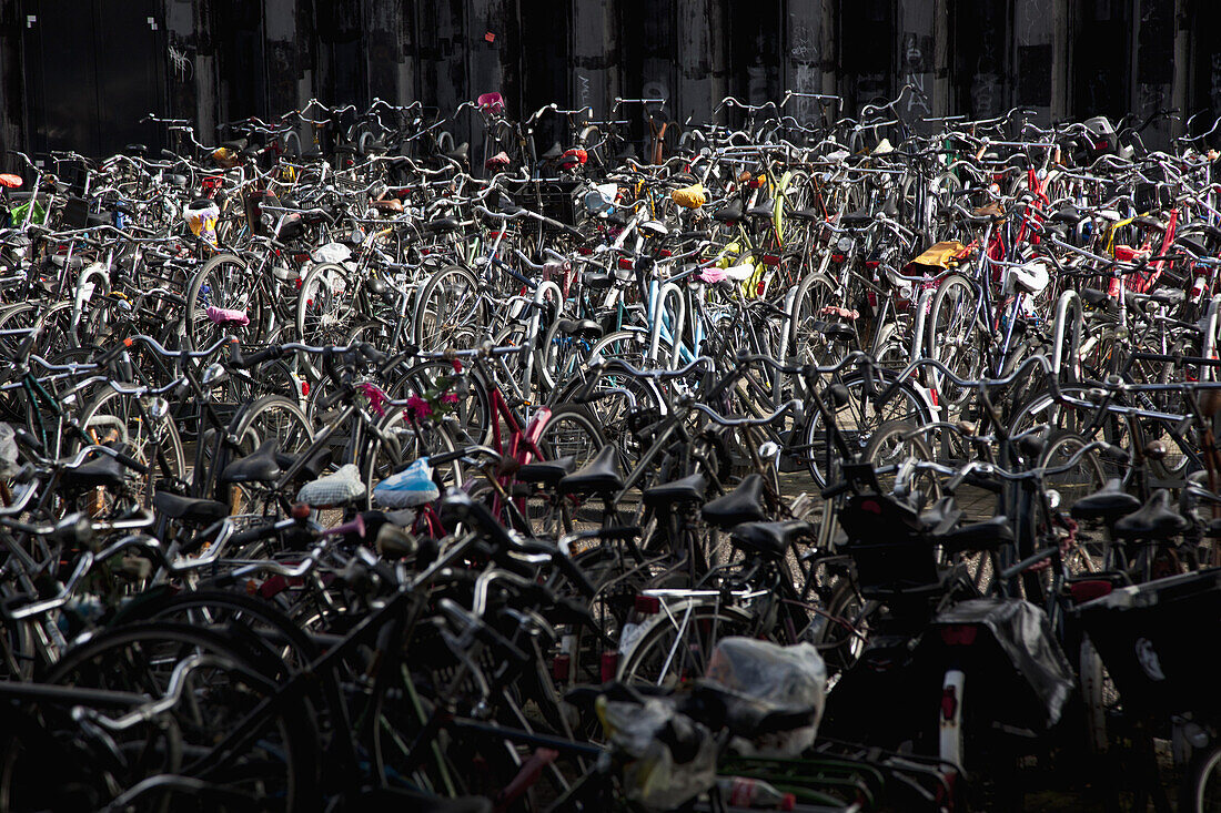 A large group of parked bicycles