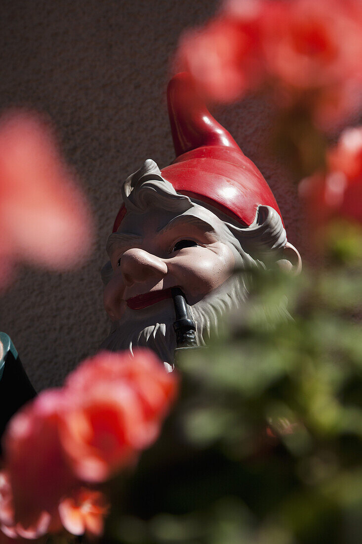 Detail of a garden gnome