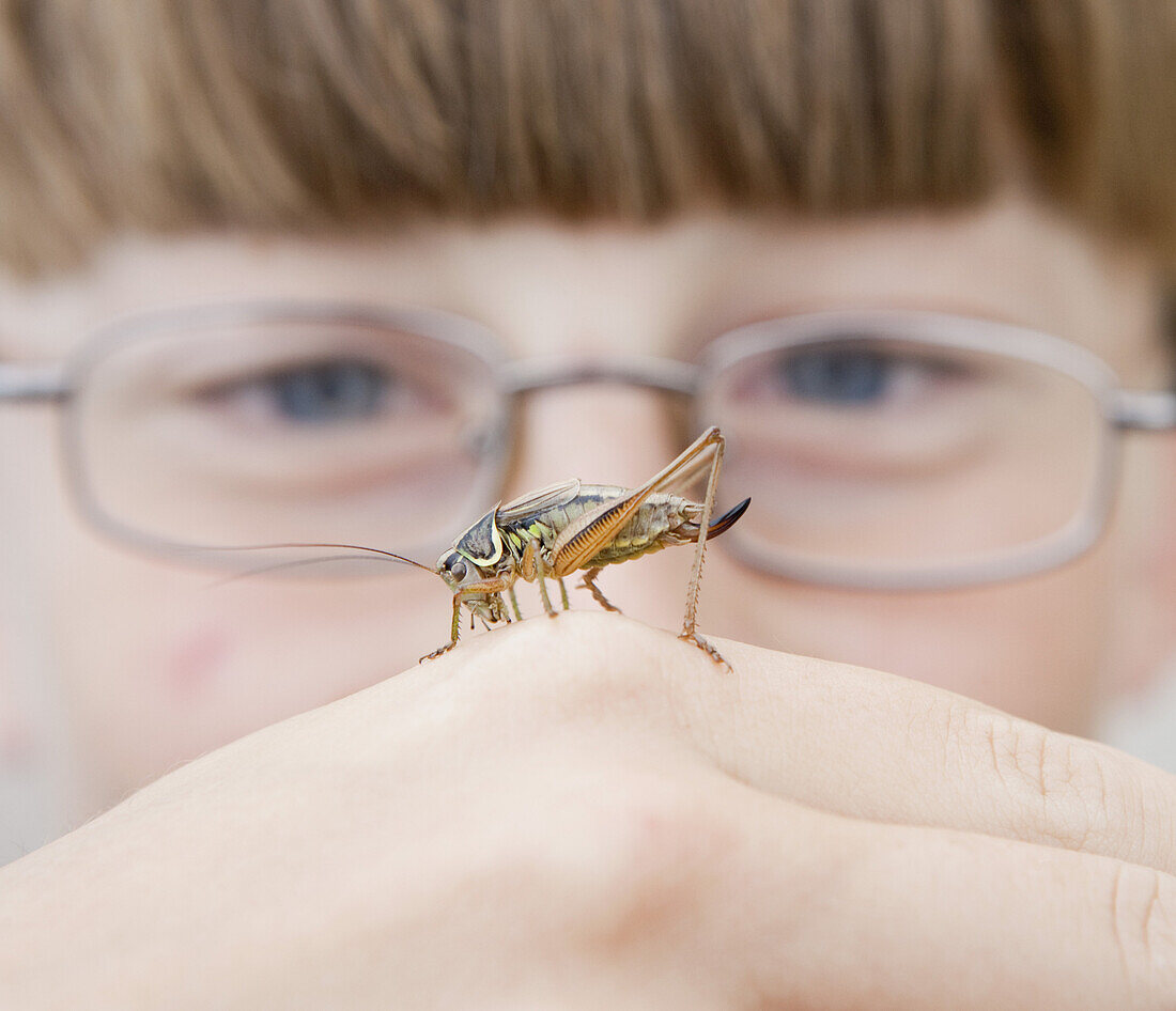 A cricket on the hand of a boy