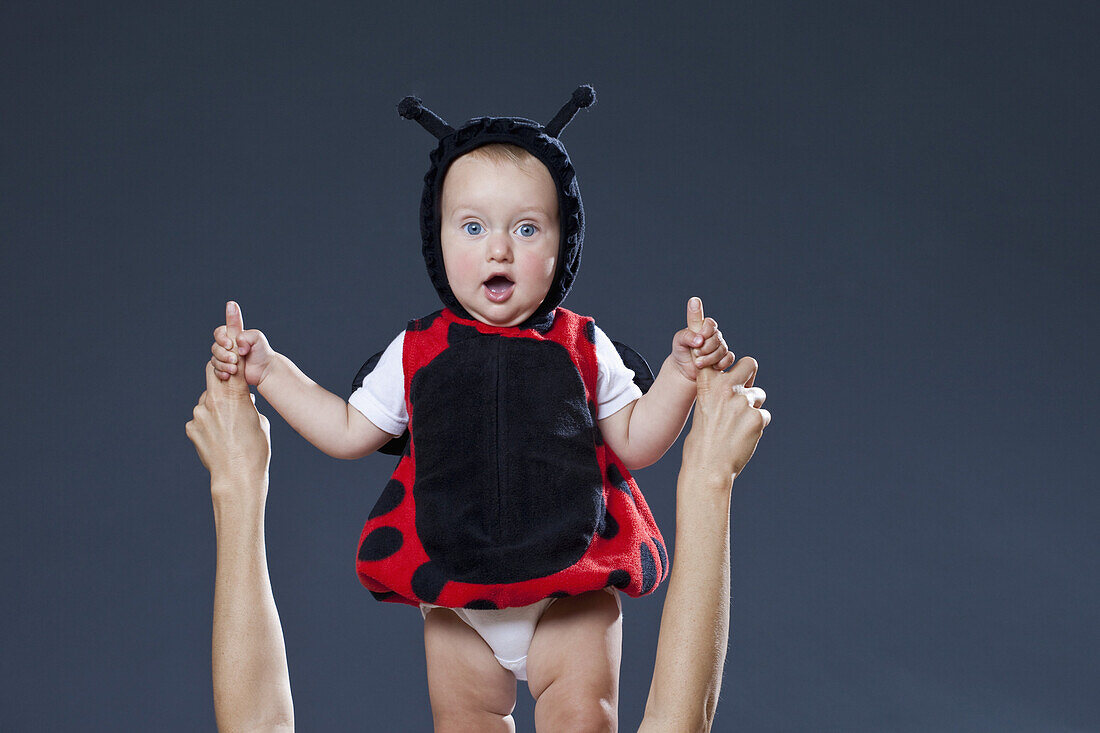 A baby boy in a ladybug costume holding the fingers of a woman