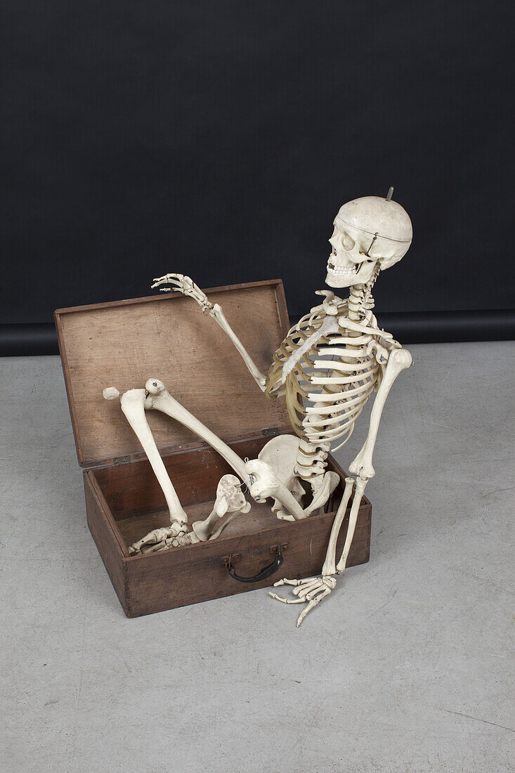 Skeleton getting out of the box.