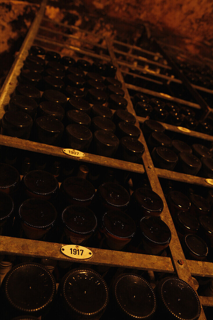 Collection of wine bottles in wine cellar categorized by year