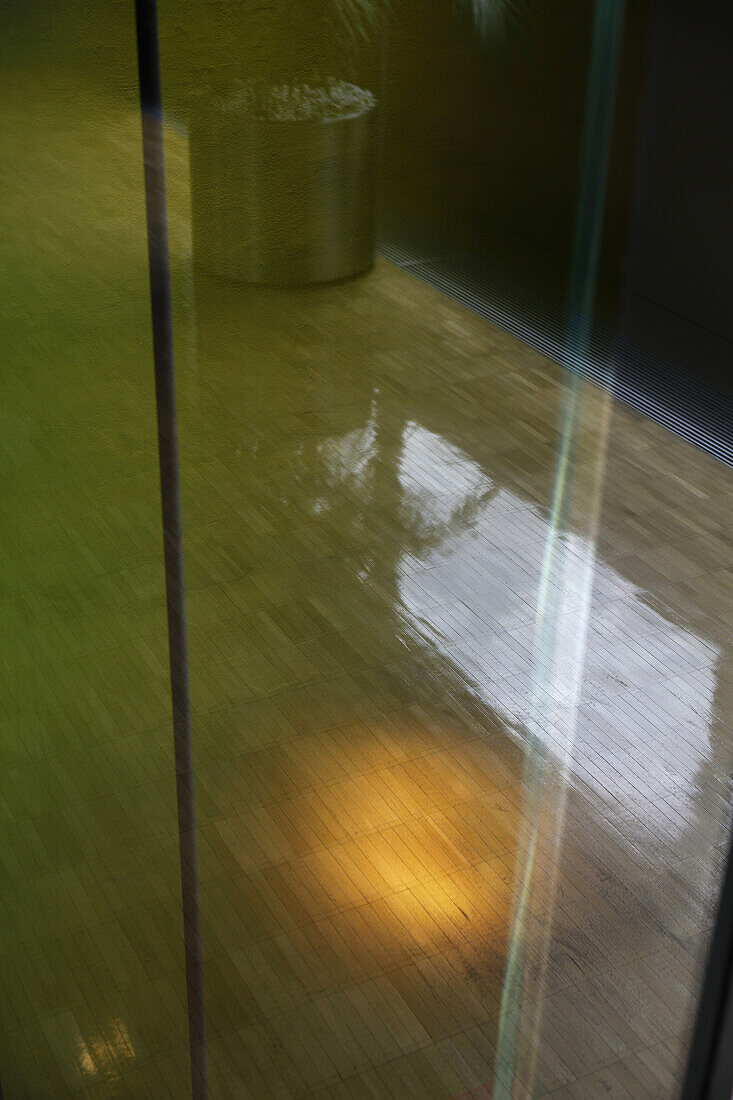 Reflection in a hardwood floor seen through a window