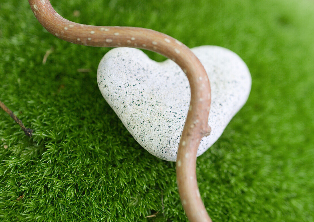 Smooth branch and heart shaped stone on moss