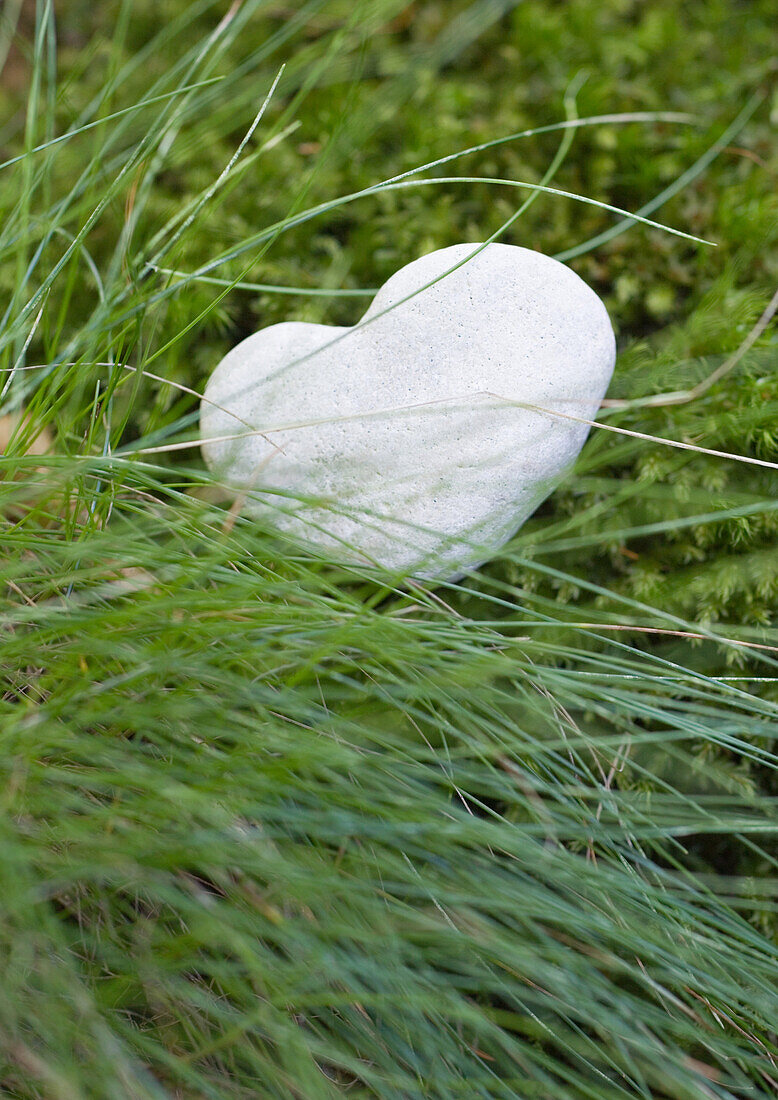 Heart shaped stone in long grass
