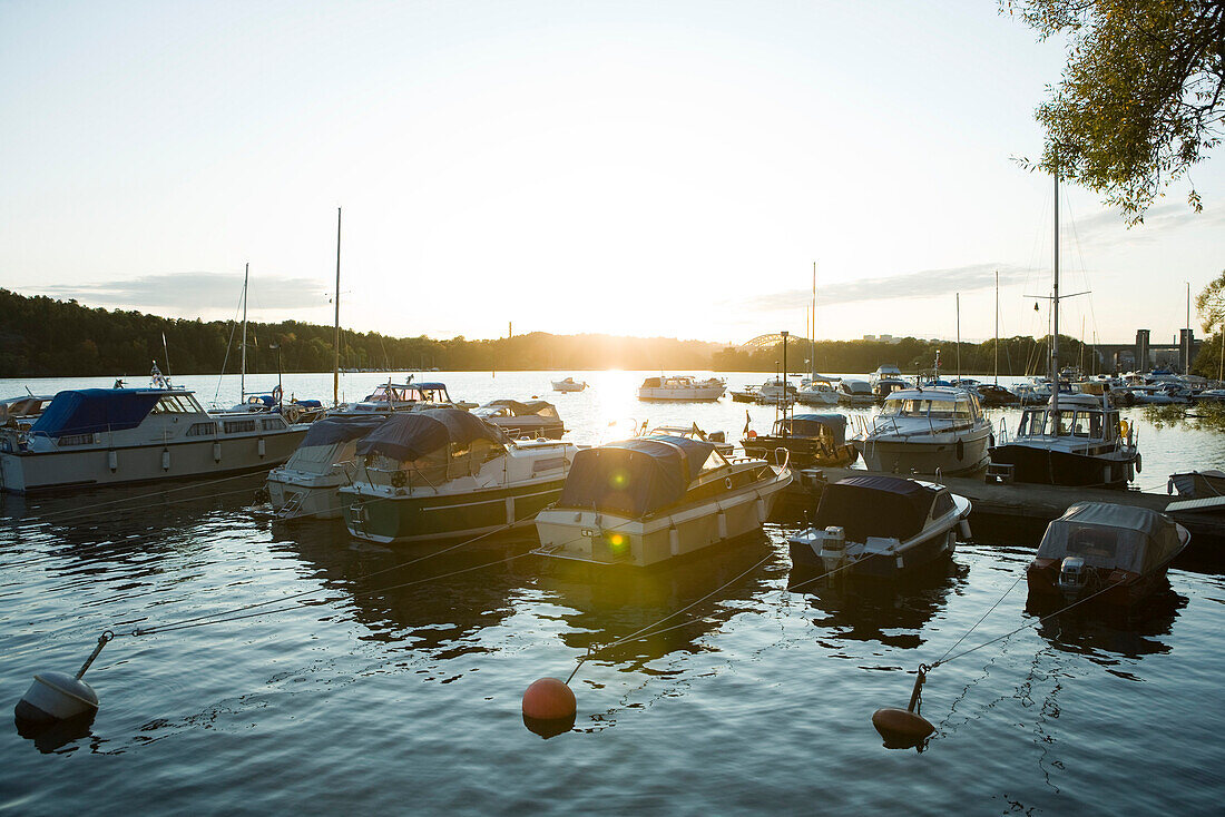 Sweden, Stockholm, marina at sunset