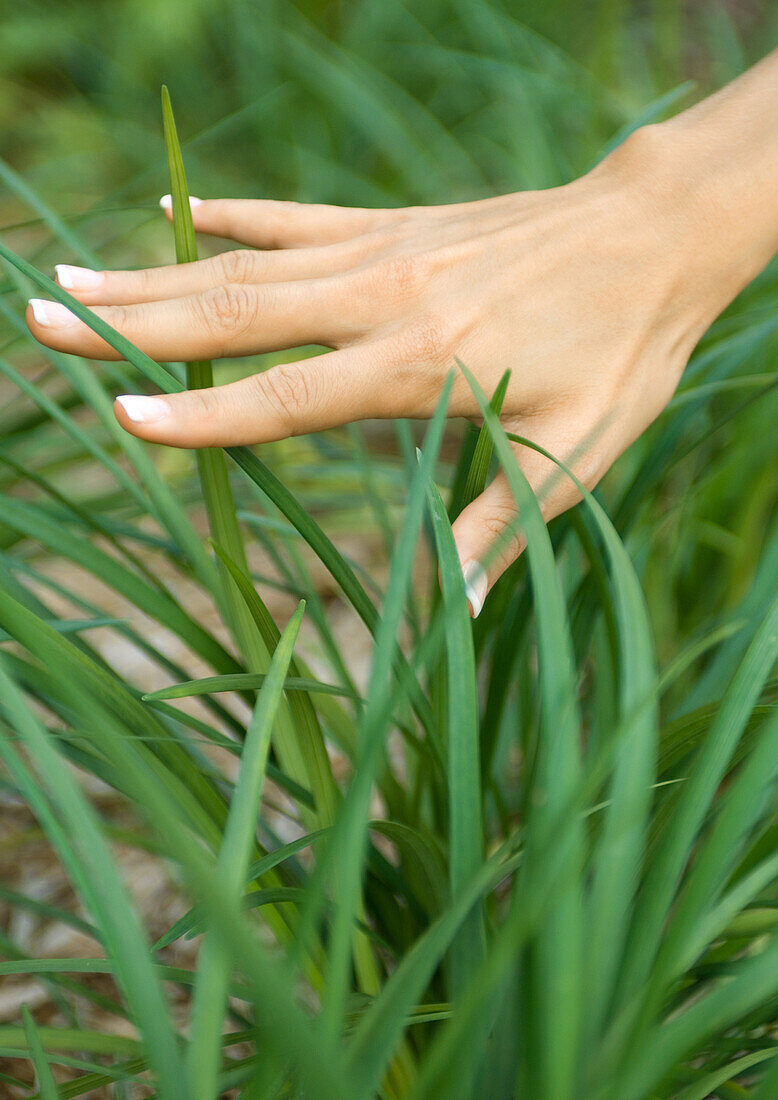 Portrait of woman touching grass Stock Photo - Alamy