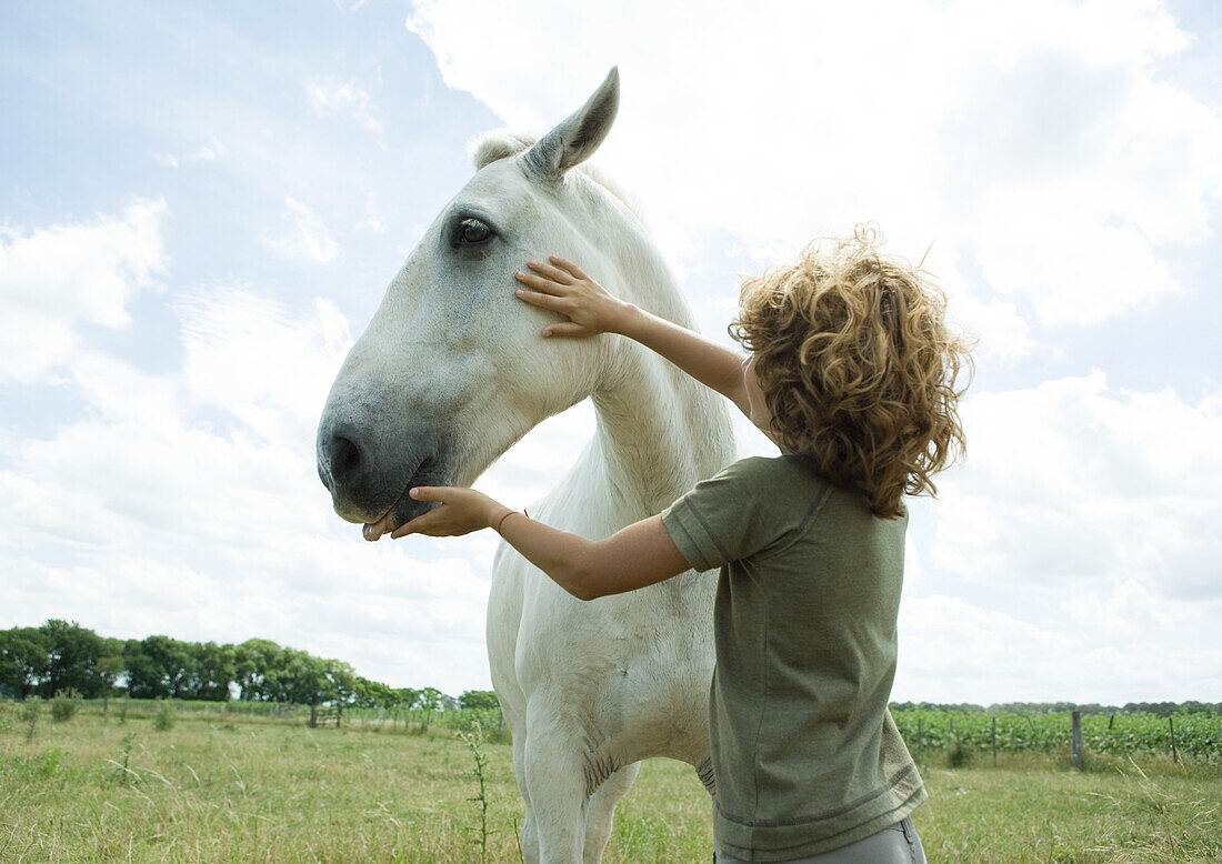 Boy petting horse