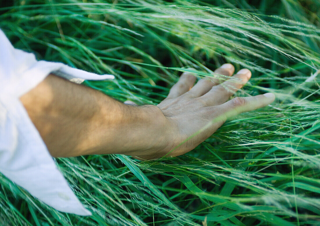 Man touching grass, cropped view of arm