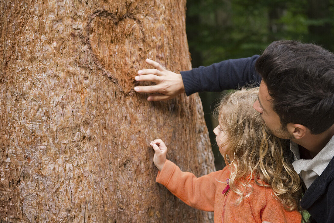 Father and young daughter touching tree trunk