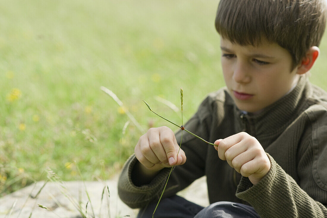 Boy sitting in grass, watching ladybug crawling on twig