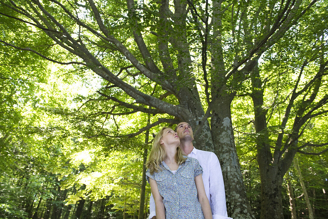 Couple in woods, looking up